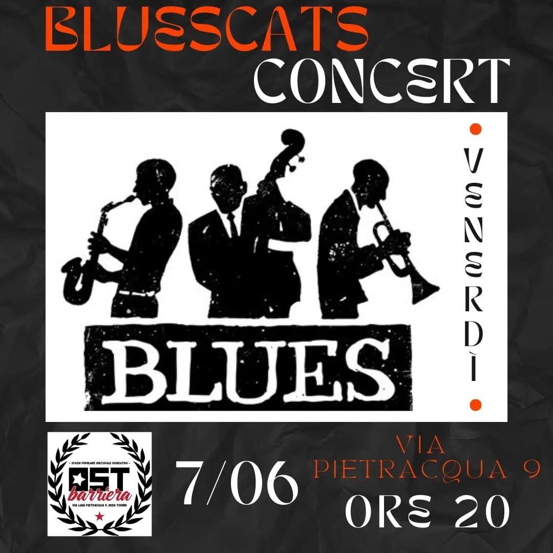 Bluescats concerto di blues