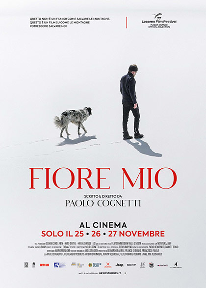 Film Fiore mio di Paolo Cogneti